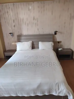 2bedroomluxury Apartiment Fernished