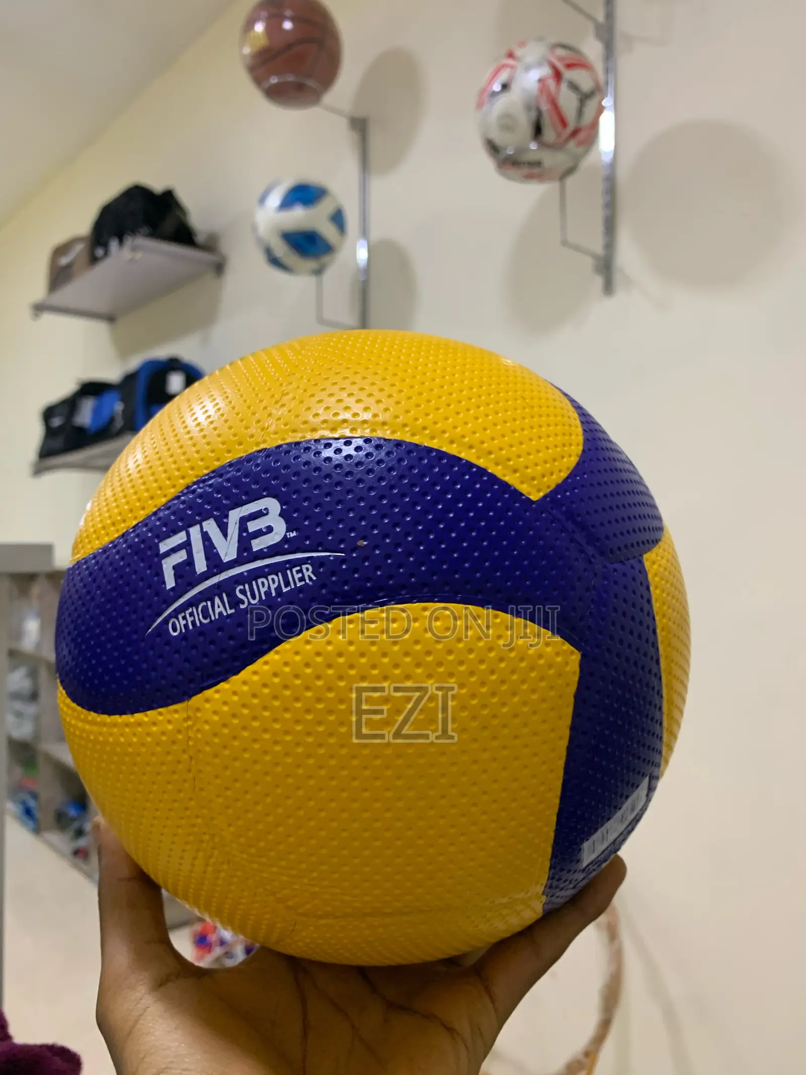 Mikasa Volleyball Balls
