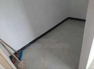 Furnished 1bdrm Condo in Addis Ketema for sale