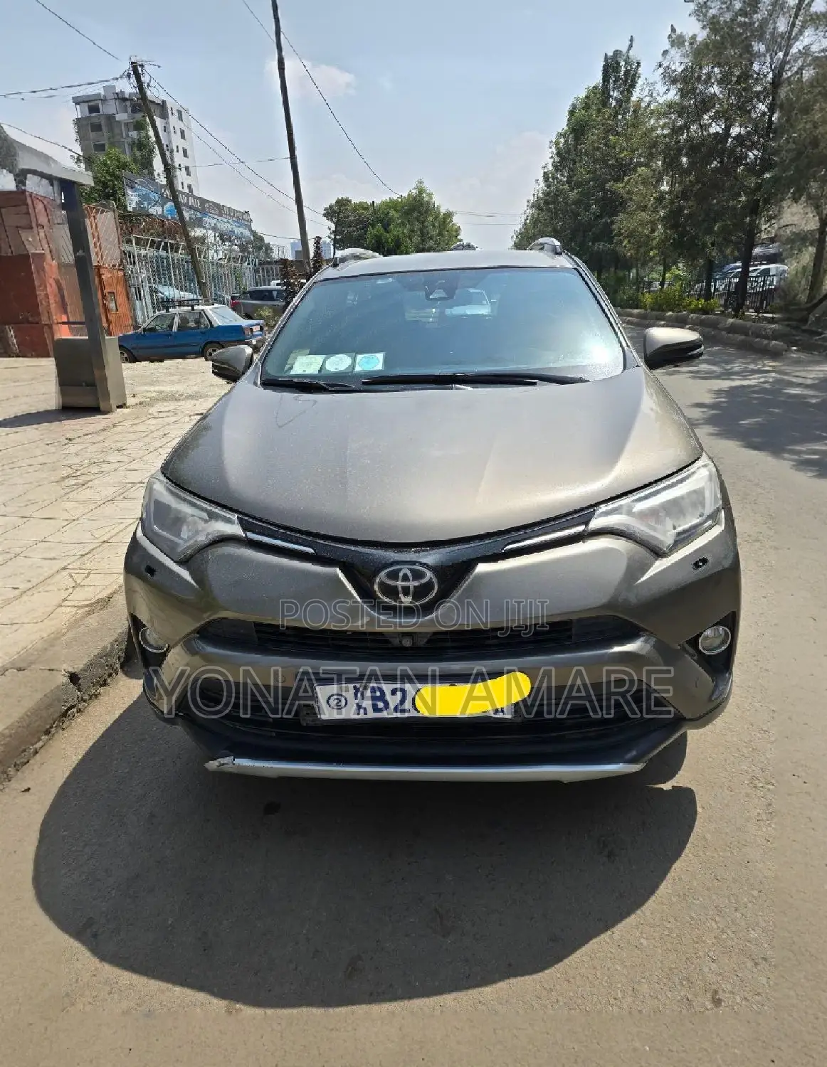 Toyota RAV4 2018 Brown