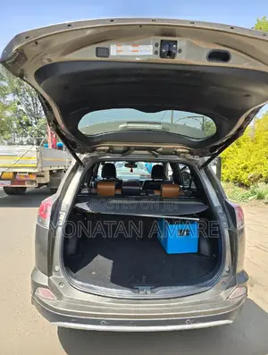 Toyota RAV4 2018 Brown