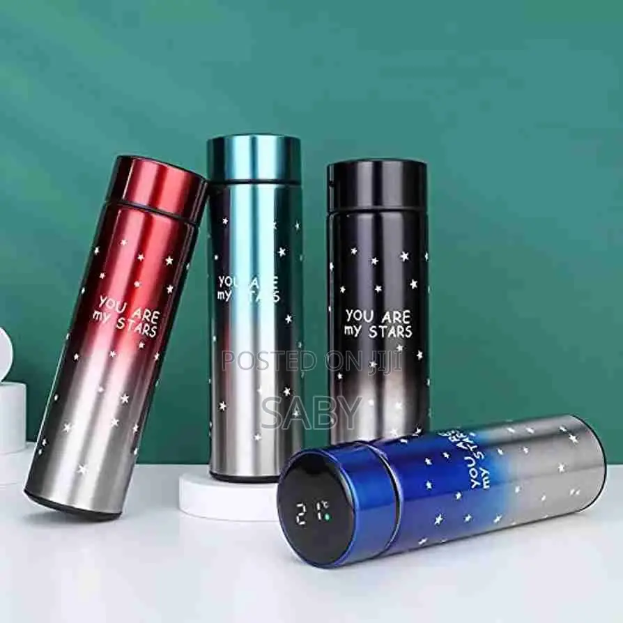 .Smart LED Temperature Display Bottle