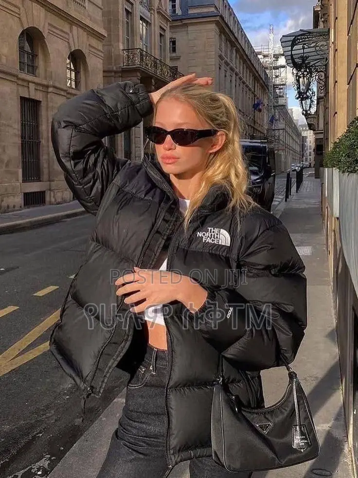 Original the North Face 1996 Retro Nuptse Packable Jacket