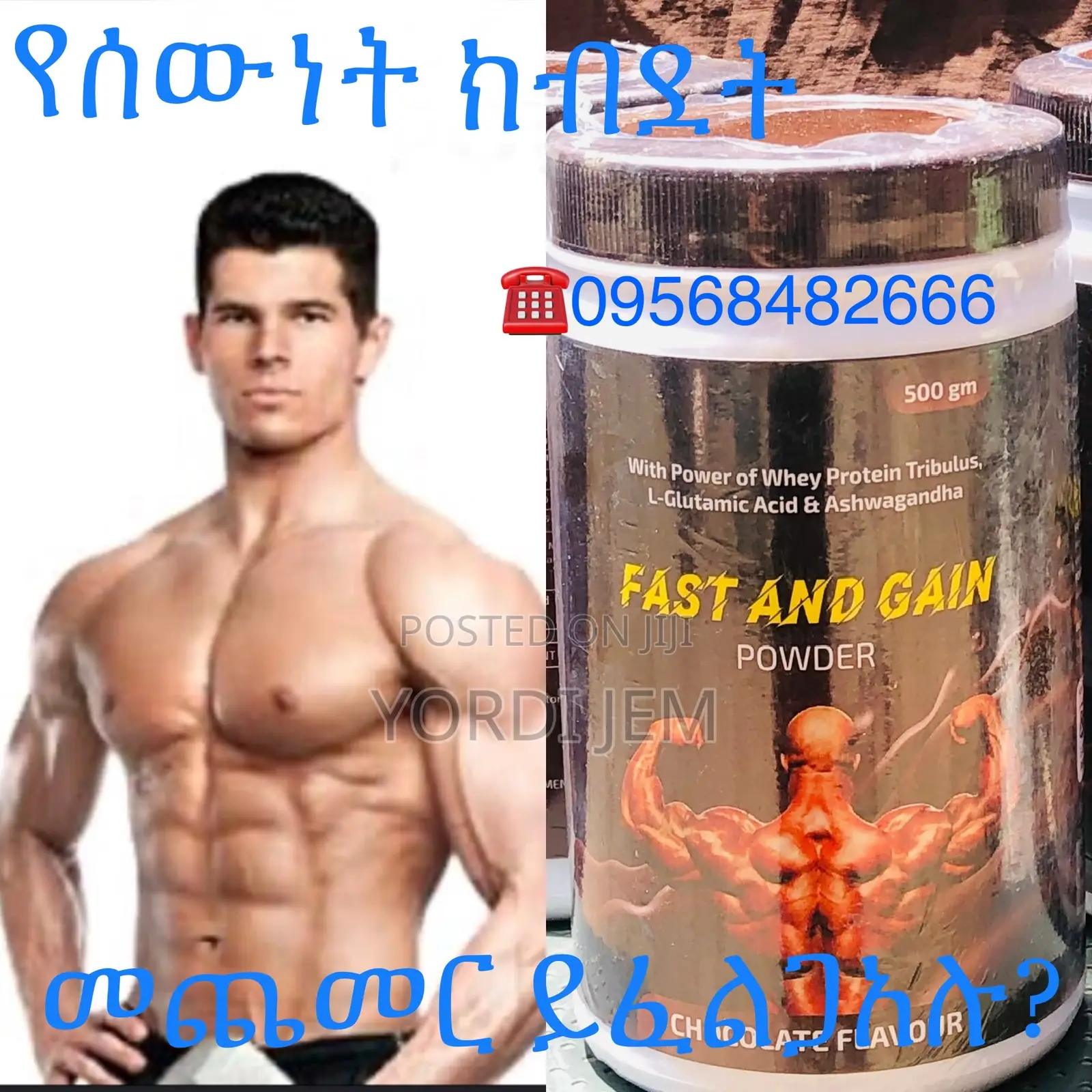 Fast and Gain Protein Powder