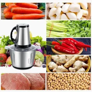 2 in 1 Stainless Steel Electric and Manual Materializer