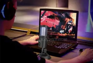 ለዩቲዩብና ፌስቡክ ቀጥታ ስርጭት/ቪሎግ ቀረፃ/ቃለ -መጠይቅ/ኮንፈረንስ/የመድረክ አፈፃፀም Mic