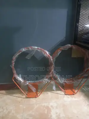 Photo - Ring With Net