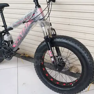 Bicycle Brand New for Kids