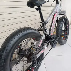 Bicycle Brand New for Kids