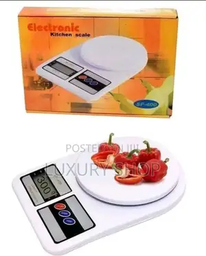 1scale Equipped With a High Precision