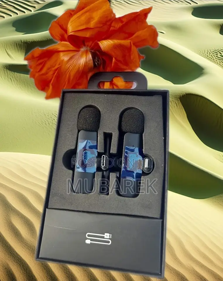  Best Wireless Mic With Dual Range