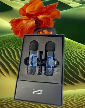  Best Wireless Mic With Clear Sound