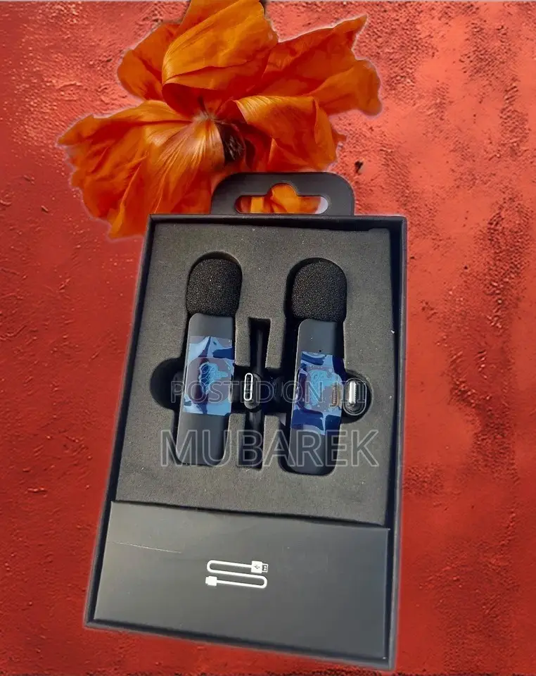  Best Wireless Mic for Professional Performances