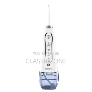 H2O Water Dental Flosser