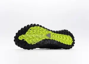 Original Nike ACG Mountain Fly Low SE Shoes