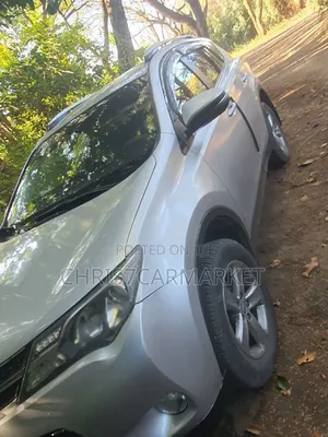 Toyota RAV4 LE 4dr SUV (2.5L 4cyl 6A) 2015 Silver