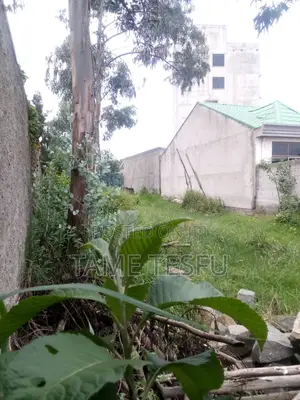 2bdrm House in Wosene, Yeka for sale