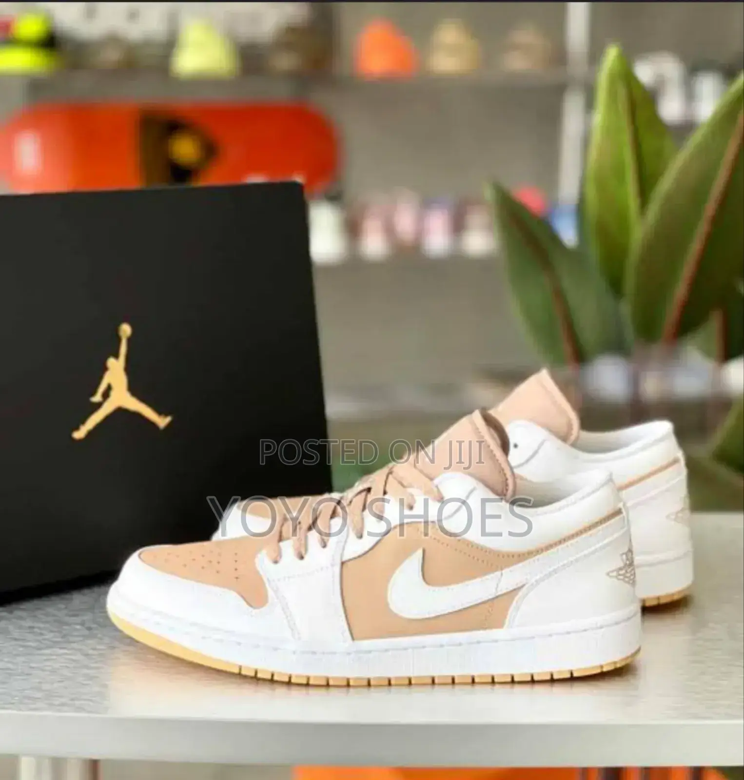 Air Jordan Low