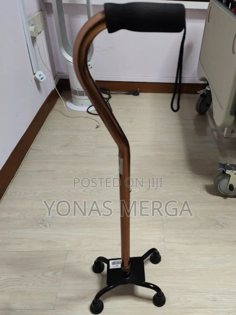 Walking Stick/Umbrella Walking Stick/Walking Cane/ከዘራ_kezera