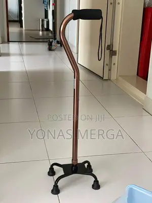 Walking Cane~|_/Walking Stick€£}{Walking Stick;?*>Kezera/ከዘራ