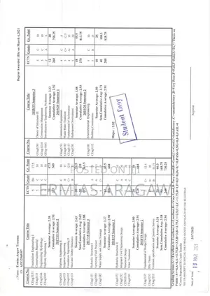 Photo - Bridge Site Engineer