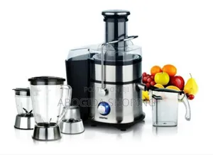 Photo - 4 in 1 Stainless Steel Juicer and Blender