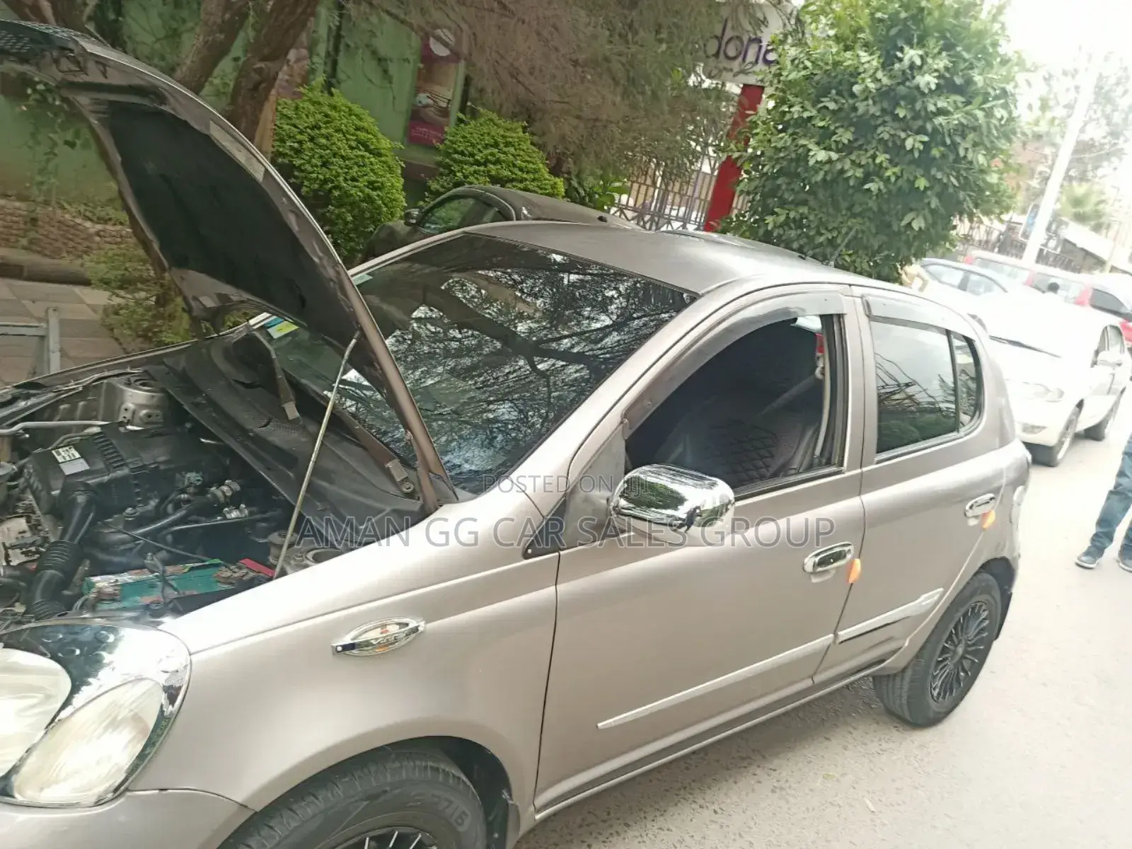 Toyota Vitz 2004 Pearl