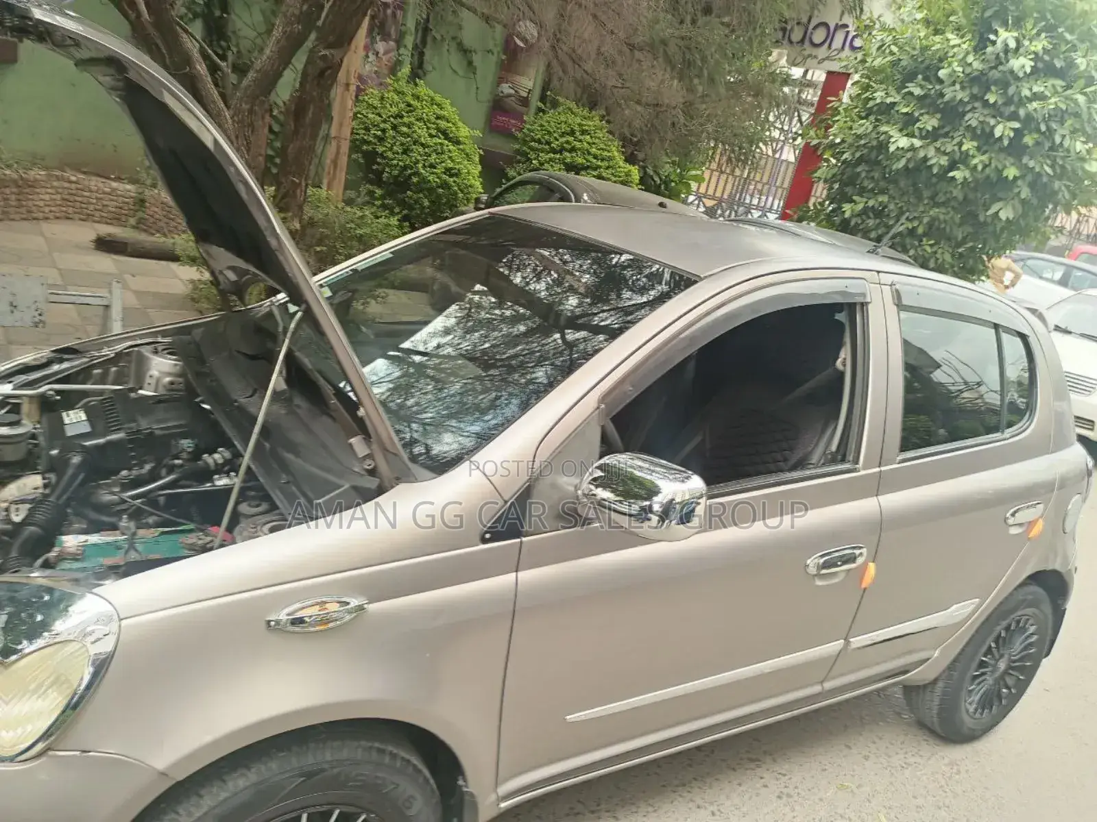 Toyota Vitz 2004 Pearl