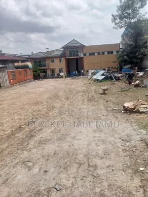 የሚከራይ መጋዝን