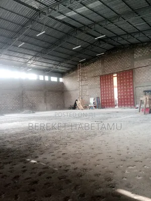 የሚከራይ መጋዝን