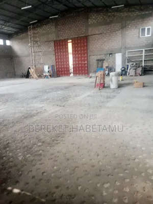 የሚከራይ መጋዝን