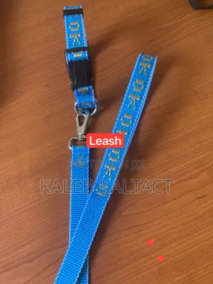 Dog Collars and Leashes