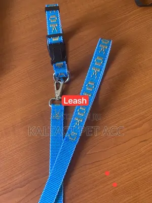 Dog Collars and Leashes