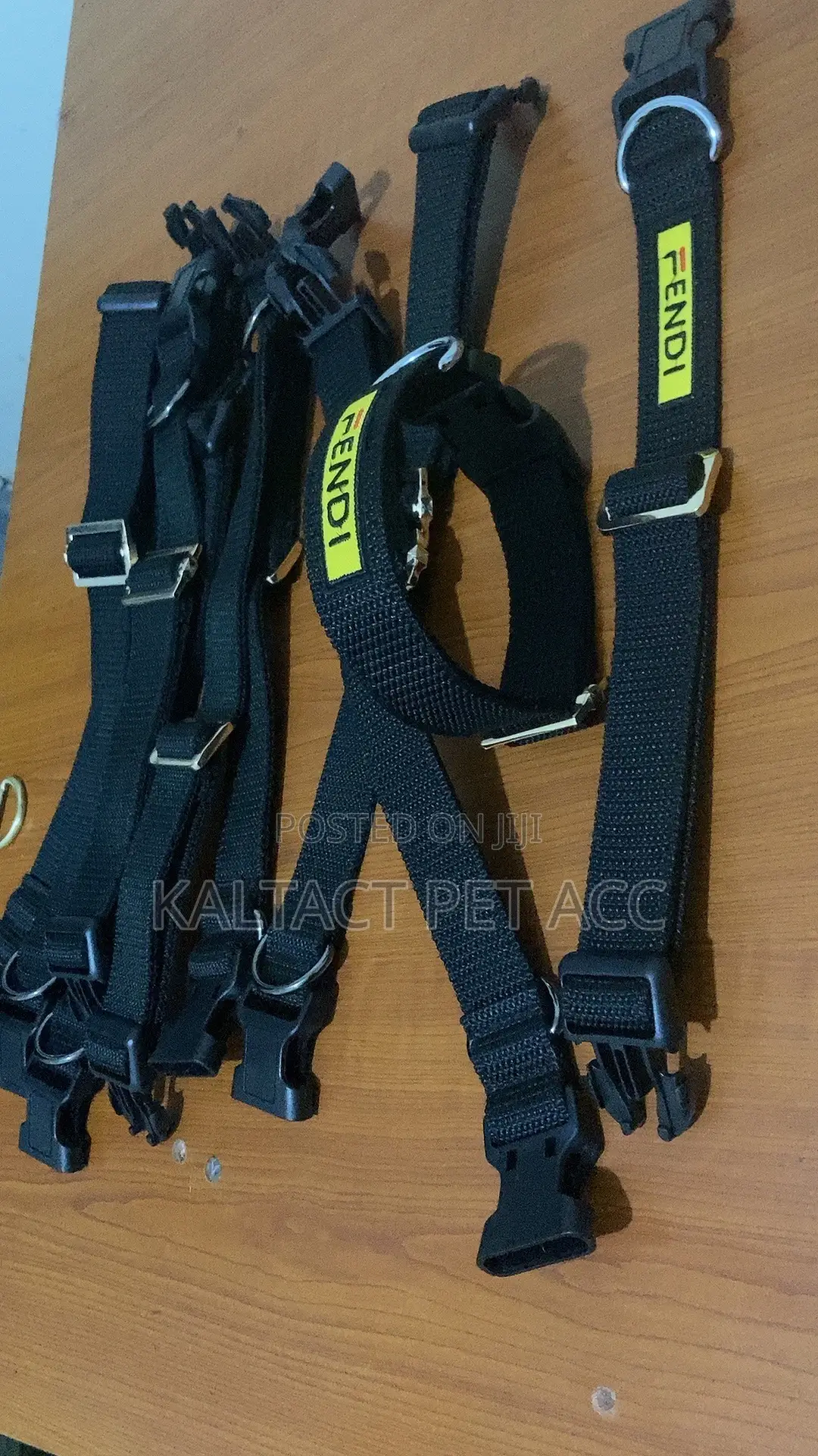 Dog Collars and Leashes