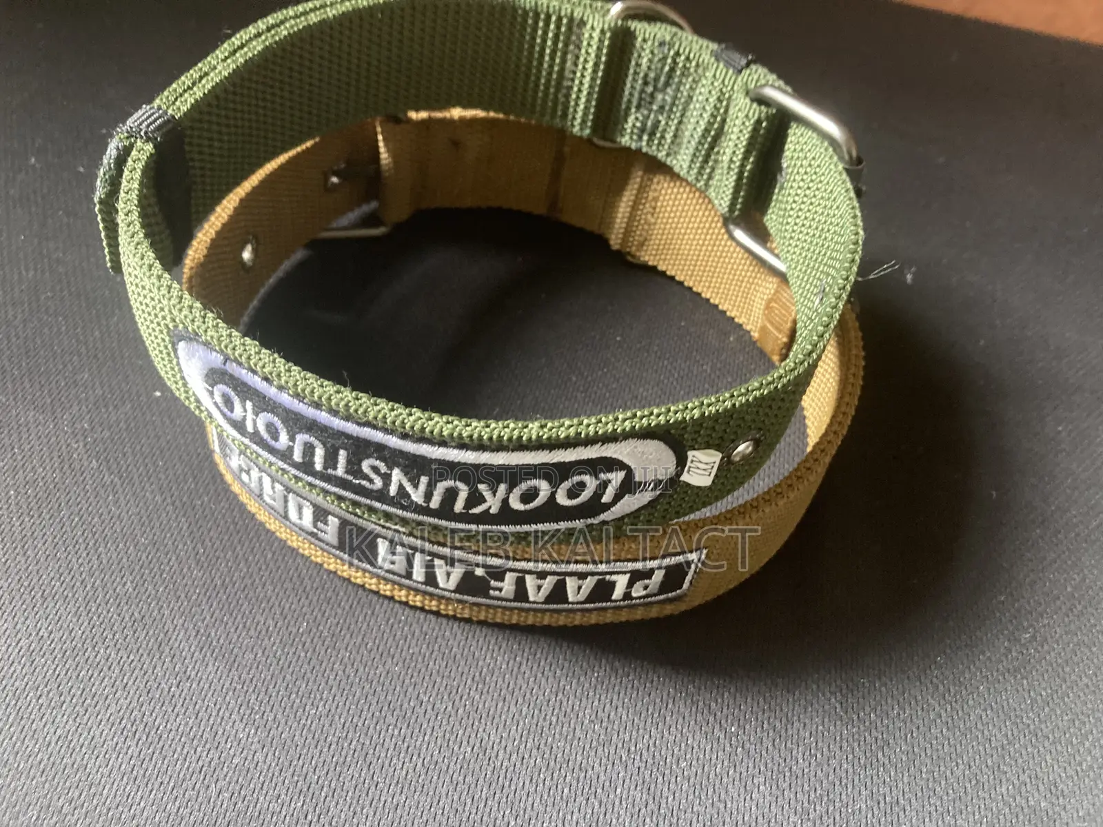 Dog Collars and Leashes