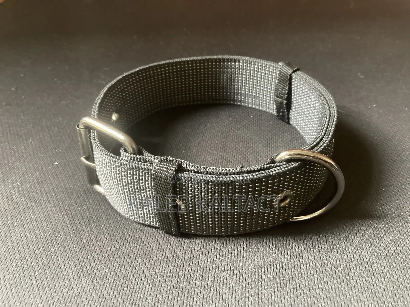 Dog Collars and Leashes