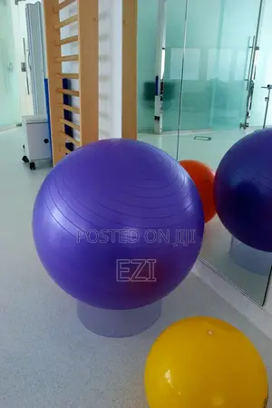 Exercise Ball