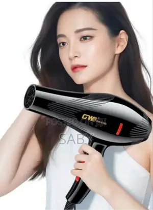 Photo - GW Professional Hair Dryer