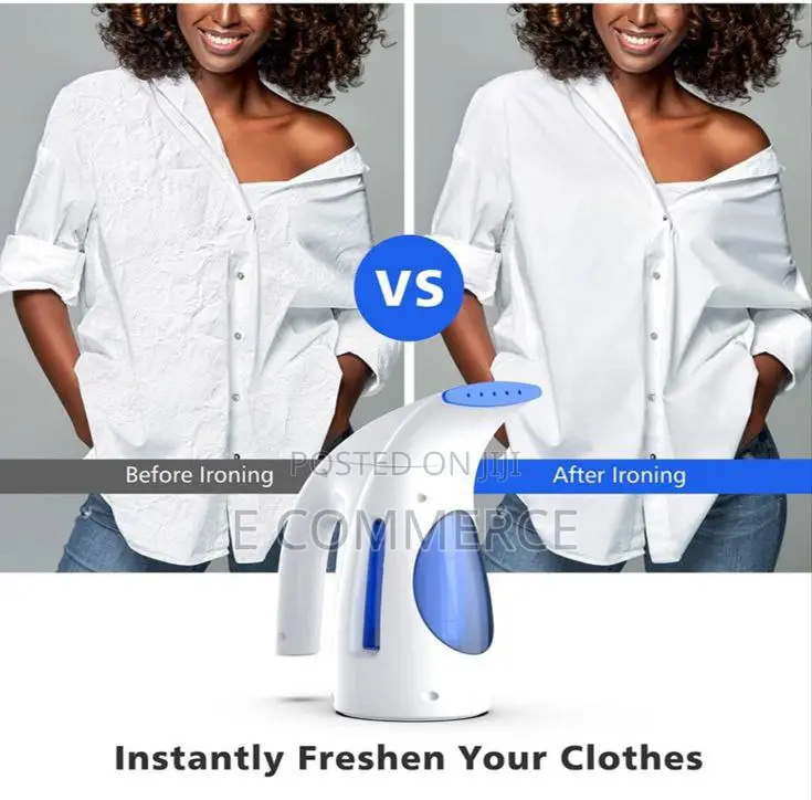 1hand Held Garment Steamer and Facial Steamer