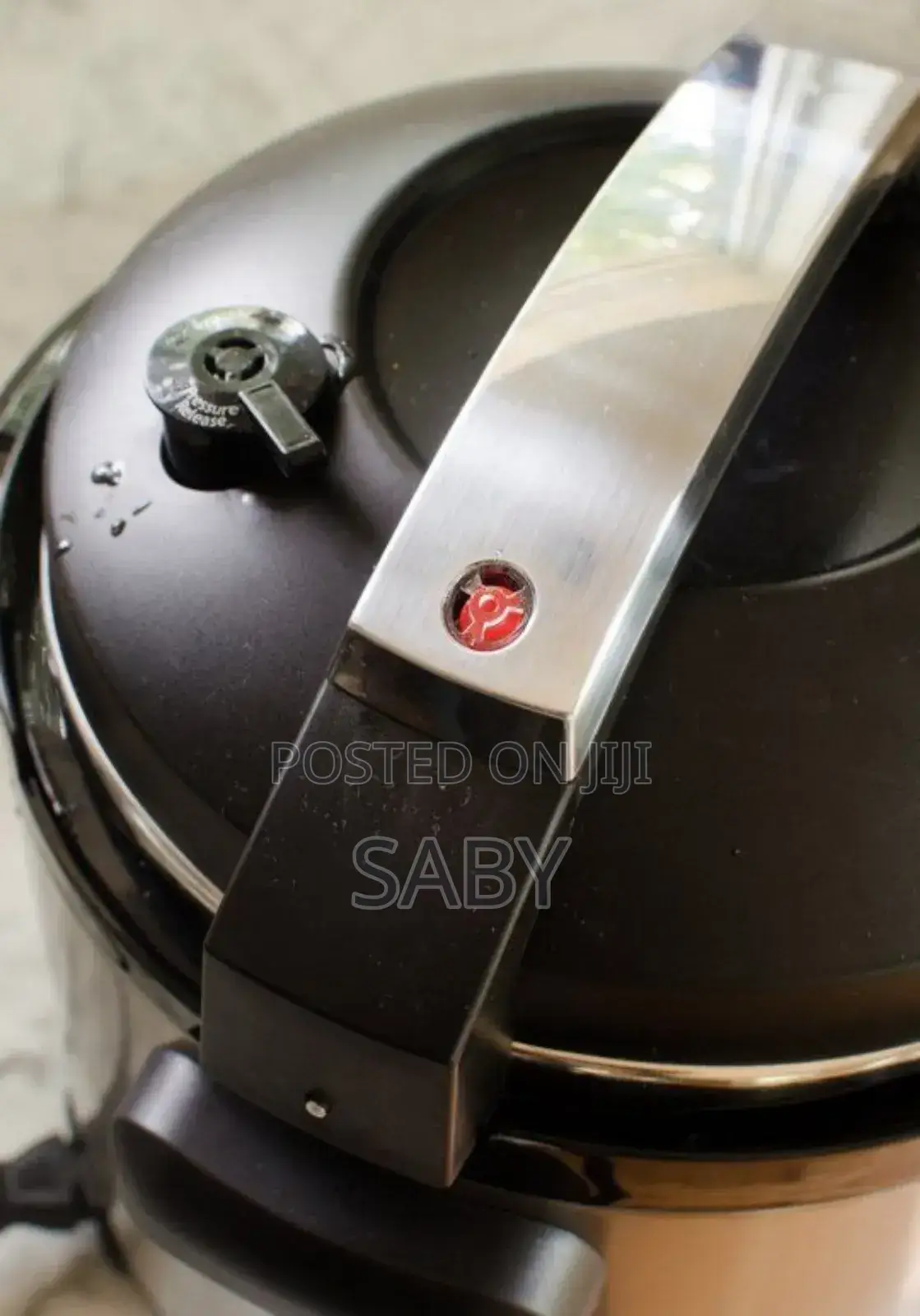 Sanford Electric Pressure Cooker