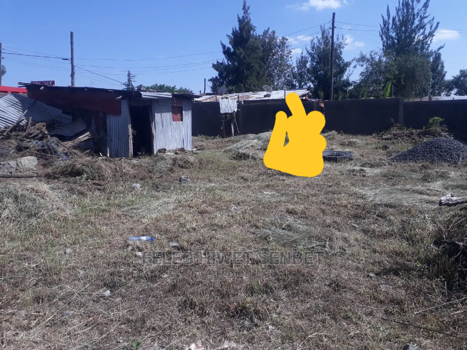 1000ካሬ ሜ ሽያጭ