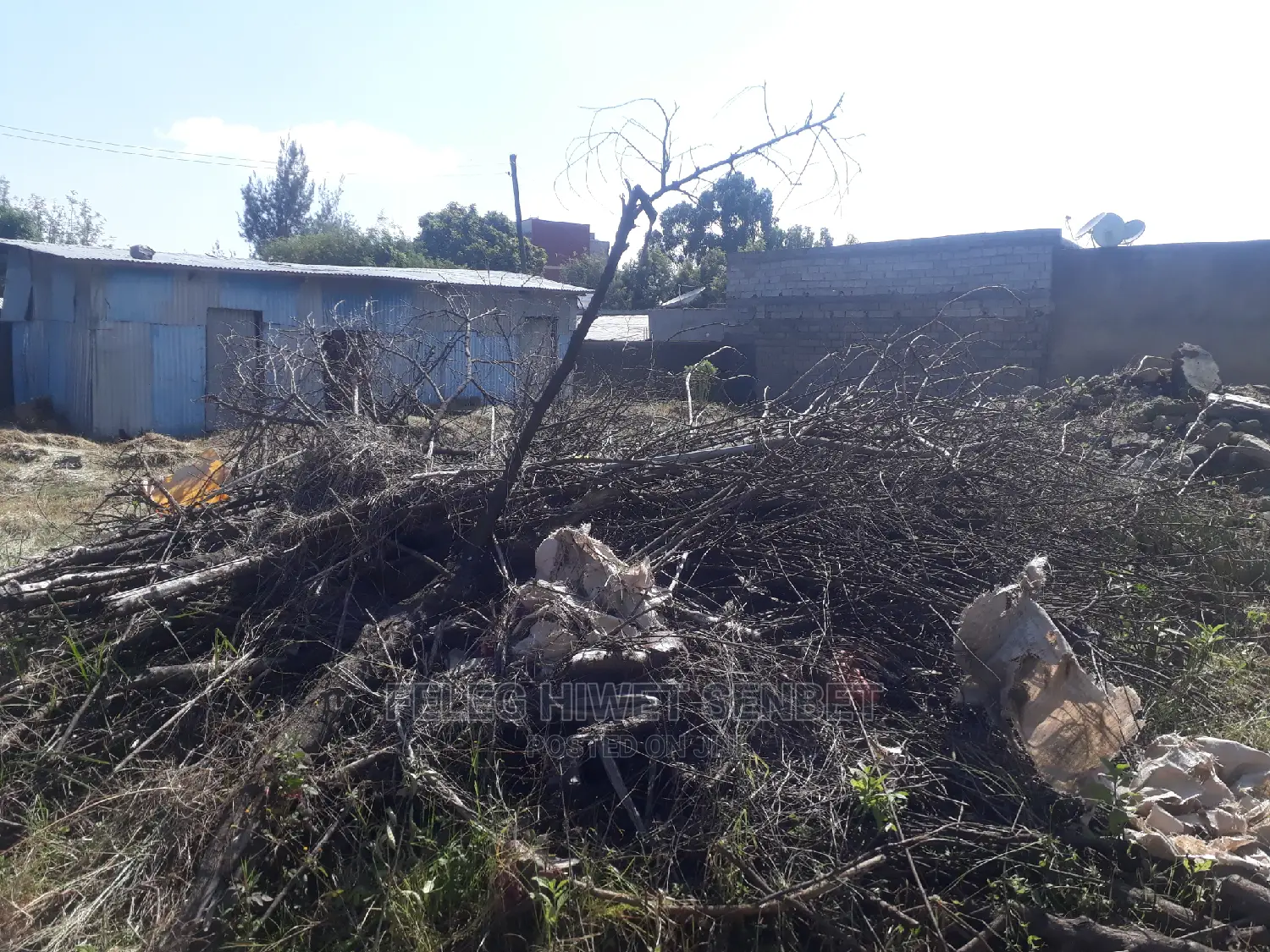 1000ካሬ ሜ ሽያጭ