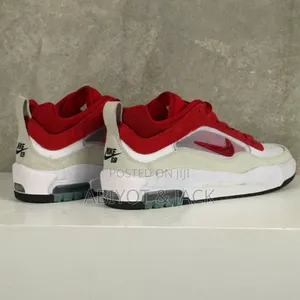 Nike Sb Air Max Ishod Shoes