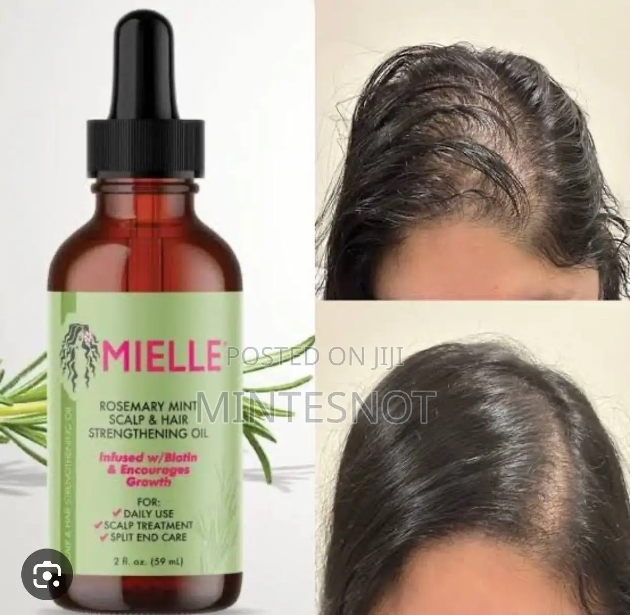 Mielle Rosemary Oil