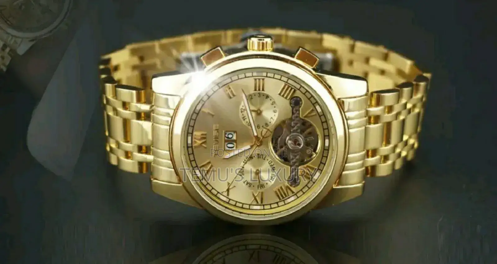 Men's Automatic Watch (Tevise )