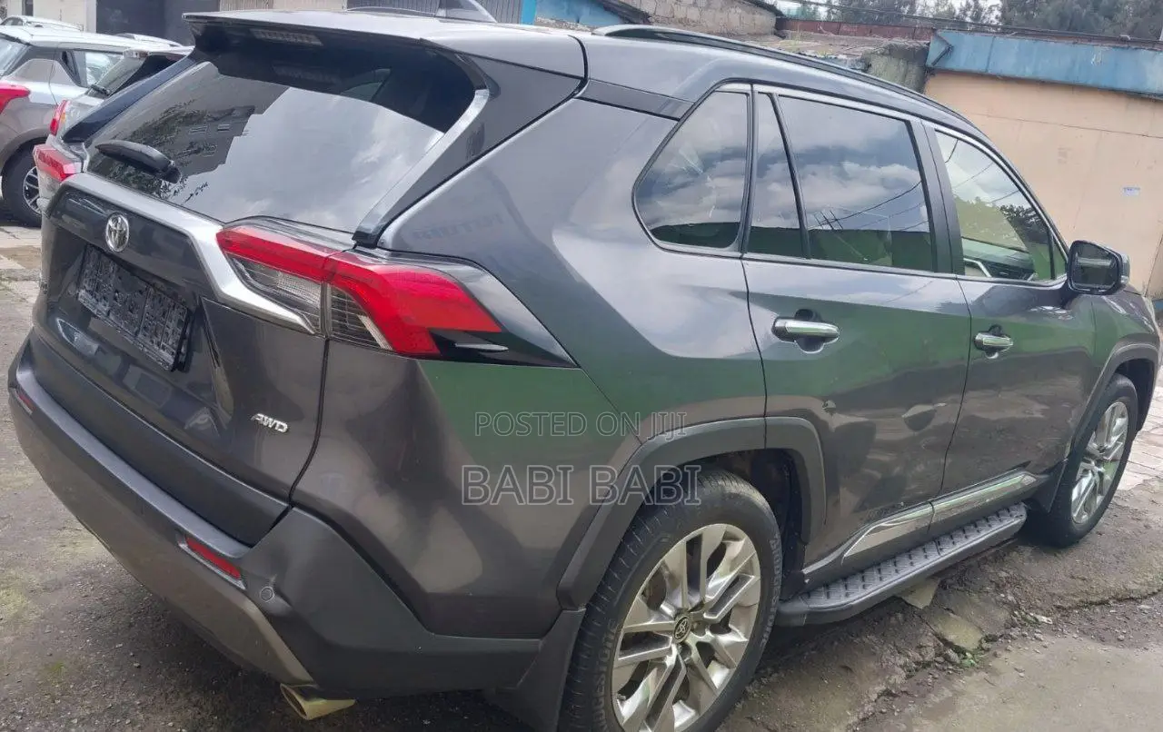 Toyota RAV4 2020 Gray