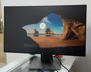 Dell Monitor