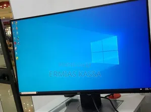 Dell Frameless 24 Inch Monitor