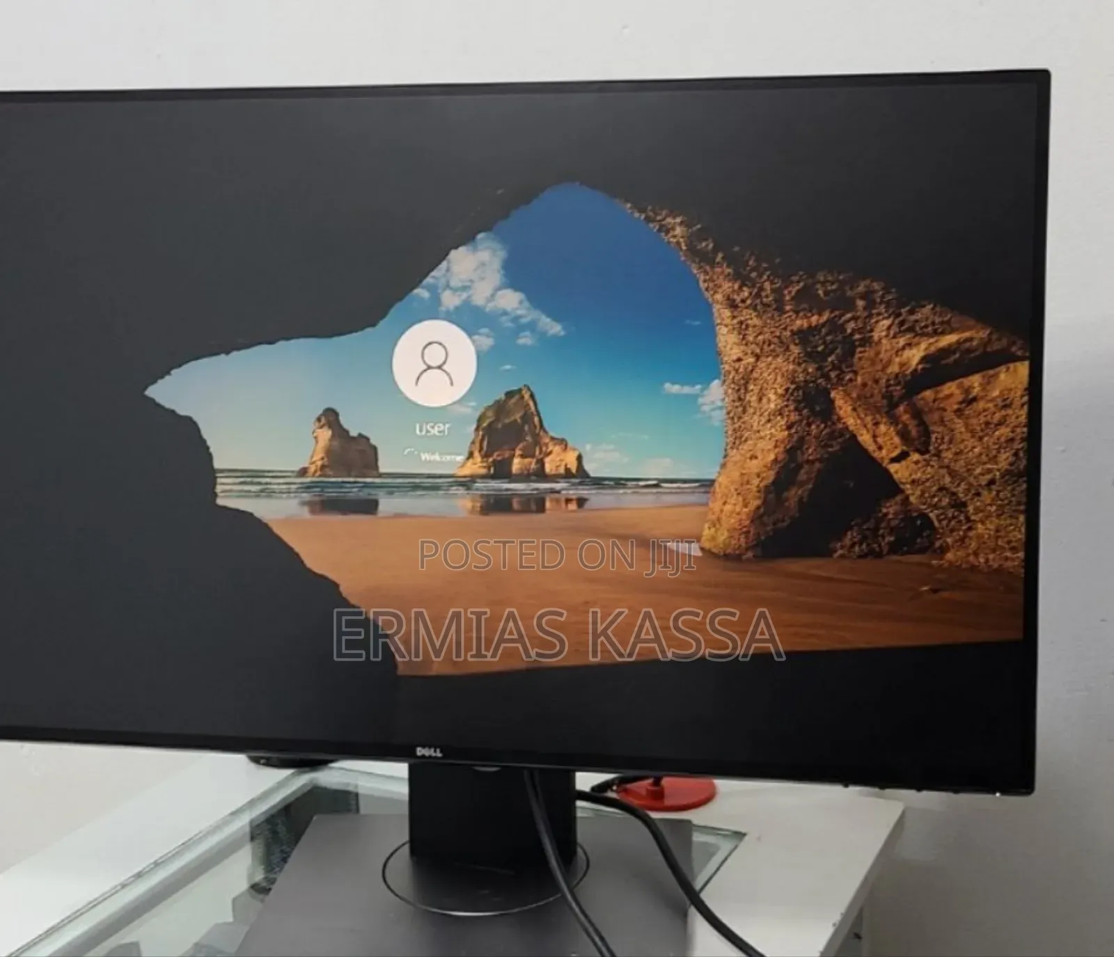 Dell Frameless 24 Inch Monitor