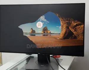 Dell Monitor